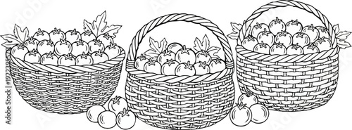 Three woven baskets overflowing with ripe tomatoes and lush green leaves