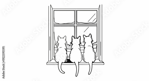 Three cats sitting on a window ledge looking outside