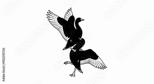 Two black birds with outstretched wings, one above the other