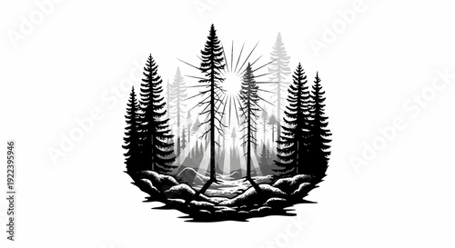 Sunbeams pierce a dense forest with layered trees and rocky terrain