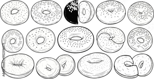 Variety of delicious bagels, some with seeds and a chocolate-covered slice