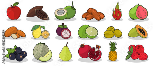 Colorful flat vector illustration set featuring a wide variety of fresh and tropical fruits. Perfect for food packaging, grocery branding, healthy lifestyle blogs, nutrition guides, market posters