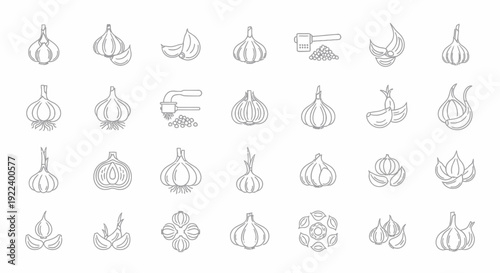 Garlic Icons Set: Fresh Ingredients, Culinary Delights, Healthy Food & Cooking Symbols