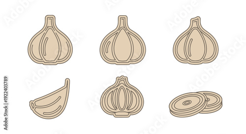 Garlic Icons Set: Whole, Half, Clove, Slices - Vector Graphics