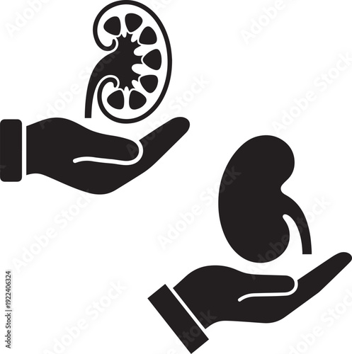 Hand Holding Kidney Cross Section Flat Black Vector Silhouette EPS