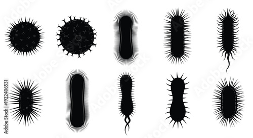 Collection of diverse stylized black silhouette vector illustrations depicting various shapes and forms of microorganisms bacteria and viruses isolated on white
