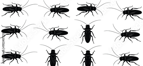 Set of black cockroach silhouettes in multiple poses, isolated on white background, insect pest icons for infestation, hygiene, extermination, and urban pest control.