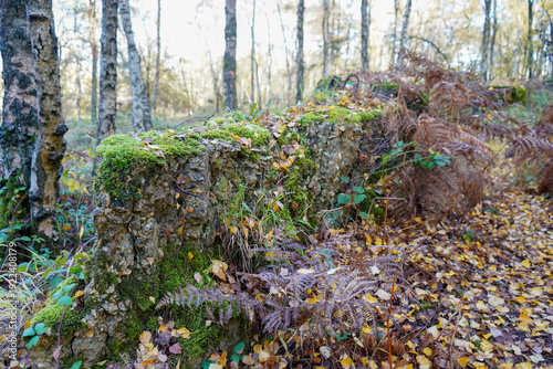 Atlantic Wall in Surrey hills WW2 ruins 