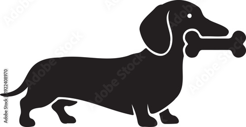 Dachshund dog silhouette carrying a bone vector icon 