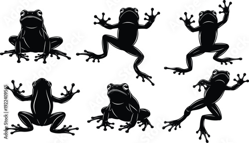 Detailed Black Frog Silhouette Vector Set Featuring Various Poses Like Jumping Sitting and Climbing Isolated on White Background for Wildlife Nature and Tropical Environment Graphic Design
