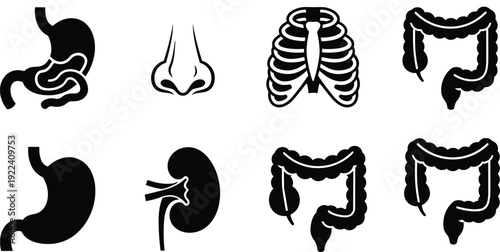 Detailed Human Anatomy Internal Organ Silhouette Vector Set Featuring Stomach Kidney Intestines Rib Cage and Nose Isolated on White Background for Medical Healthcare and Education Projects