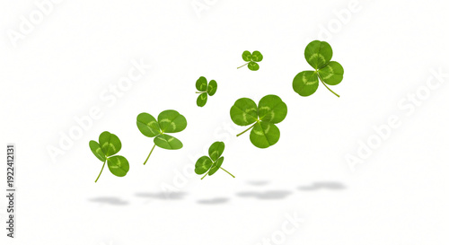 Scattered Four Leaf Clover Floating on White Background