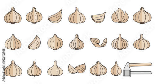 Garlic Collection: Whole Bulbs, Cloves, and Garlic Press - Flat Design Icons