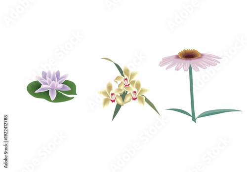 Vintage World Map Illustration with Compass Rose