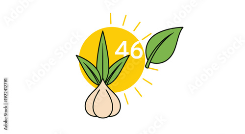 Garlic plant growing under the sun, temperature 46 degrees