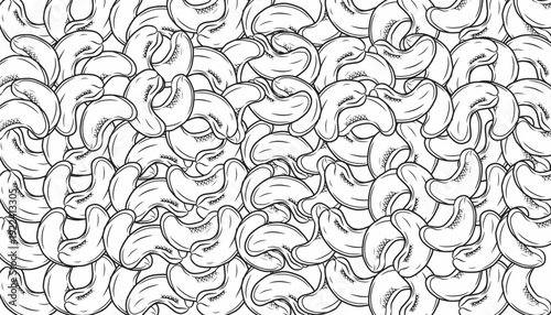 Cashew Seamless Pattern. Hand Drawn Nut Illustration. Minimal Outline Vector. Frame and Background Design.