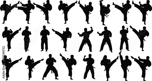 Black Karate Martial Arts Silhouettes Set Featuring Professional Fighters in Various Kicking Punching and Defensive Combat Poses for Sports Design Fitness and Training Illustrations