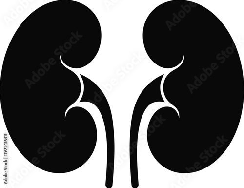 Abstract black silhouette of two human kidneys isolated on transparent background medical and healthcare concept illustration