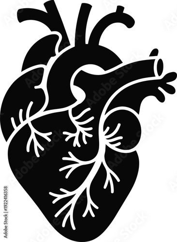 Black silhouette of human heart with visible blood vessels anatomy diagram isolated on transparent background healthcare and medical concept illustration