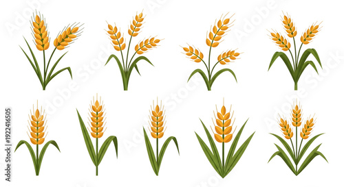 Wheat Stalks Collection – Golden Grain Head Silhouettes on White