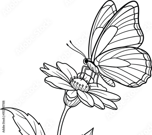 beautiful butterfly resting on a flower in a simple illustration style