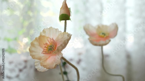Delicate floral arrangement with soft pastel hues against a lace curtain backdrop in natural light for home decor inspiration