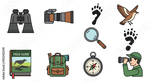 A colorful illustrated icon set for birdwatching hiking and nature exploration activities.