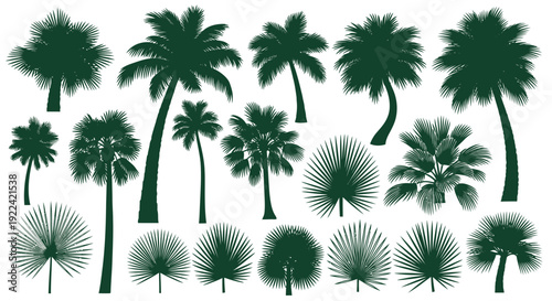 Diverse Silhouette Palm Trees and Fan Leaves Vector Set