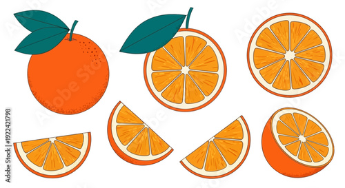 Collection of vibrant orange illustrations, whole and sliced, with leaves
