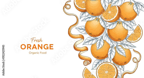 Fresh Orange Organic Food Vector Illustration with Leaves and Citrus Slices