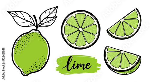 Vibrant Hand-Drawn Lime Illustration Set with Leaves, Slice, and Text