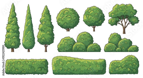 Collection of Diverse Green Trees, Bushes, and Hedges for Landscape Design