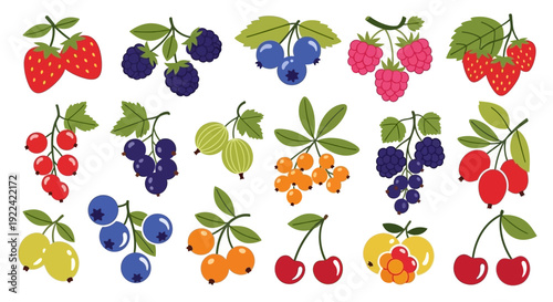 Collection of Fresh and Colorful Berries on Branches, Vector Illustration