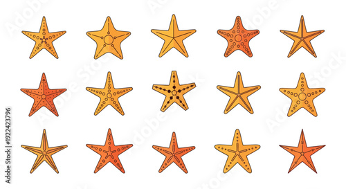 Collection of Orange Starfish with Varying Patterns and Shades.