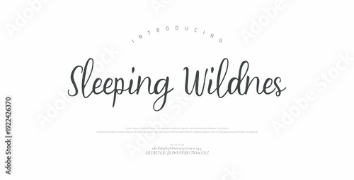 Sleeping Wildnes, Script alphabet letters font logo. Typography luxury classic lettering serif italic fonts decorative wedding vintage retro logos. vector illustration
