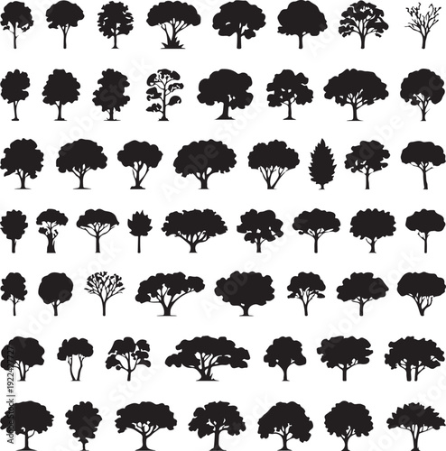 silhouette tree line drawing set, Side view, set of graphics trees elements outline symbol for architecture and landscape design drawing. Vector illustration in stroke fill in white. Tropical