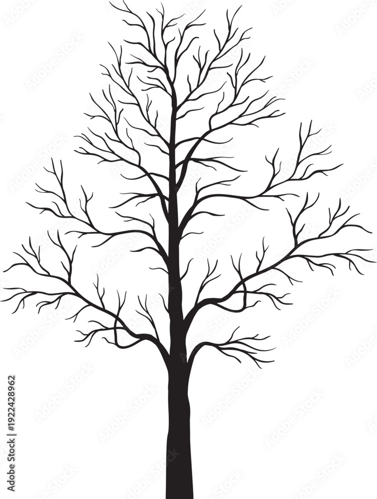 Obraz premium Bare tree without leaves, representing winter, dormancy, and resilience.