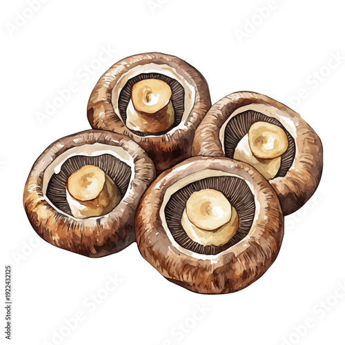 Stuffed Mushrooms, soft hand-painted watercolor illustration, isolated on a white background.