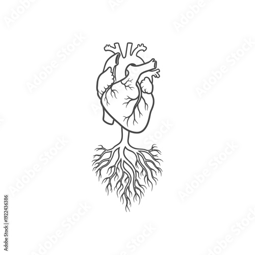 Detailed anatomical heart with thick root system vector illustration on grid art