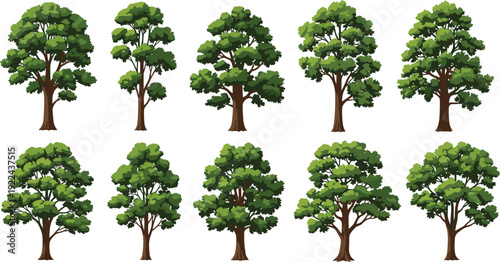Set of ten large old green trees vector isolated on white
