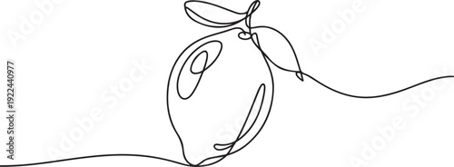 Fotografi One continuous line drawing of whole healthy organic lemon for orchard logo identity