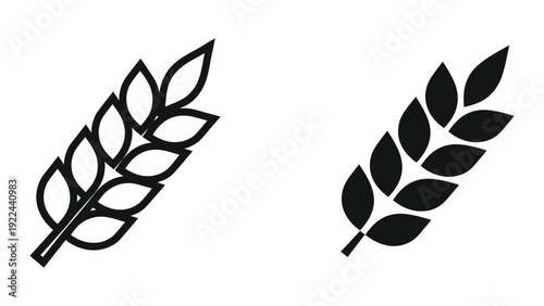 Wheat ears silhouettes on white background