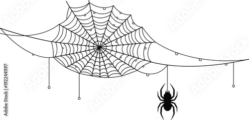 Spider web with hanging spider silhouette, black and white Halloween vector illustration isolated on white background for spooky decoration design