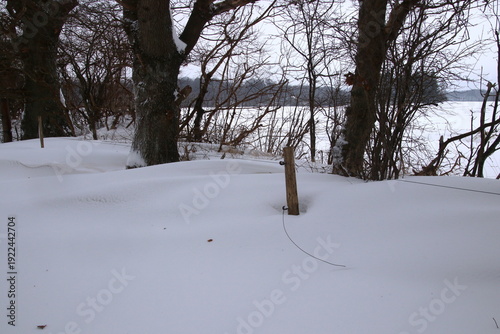 Electric fence in snowdrift and it is damaged