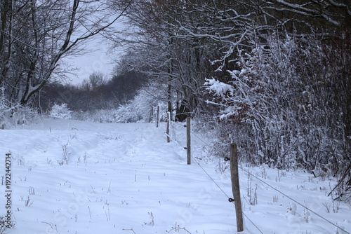 Electric sign in snowy landscape in February