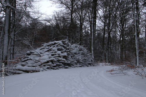 Firewood pile in snowy bend in wintertime