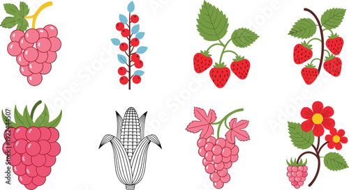 Berry and fruit vector set. Strawberry, raspberry, grape and currant illustration. Cute flat organic food collection for packaging, farm market and healthy design.