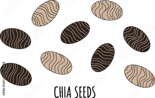 Chia seeds vector illustration. Healthy superfood grain collection isolated. Hand drawn organic food element for nutrition design and packaging.