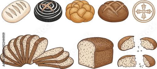 Artisan bread vector set. Sourdough loaf, sliced bread and bakery buns. Hand drawn baked goods illustration for cafe menu, packaging and bakery branding design.