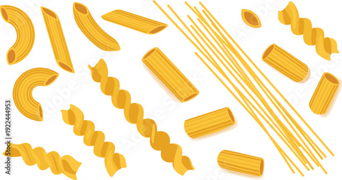 Italian pasta variety vector set. Spaghetti, penne, fusilli and macaroni shapes. Dry pasta illustration isolated for restaurant menu, packaging and cooking design.